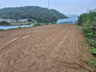 광주독수리님의 콩 · 영농일지 작성글 사진