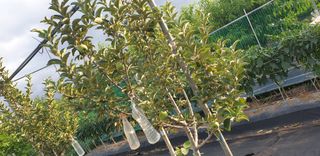 자인면 박덕상님의 자유주제 · 자유게시판 작성글 사진