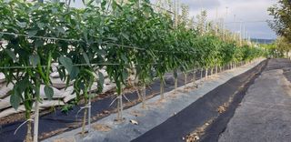 자인면 박덕상님의 자유주제 · 자유게시판 작성글 사진