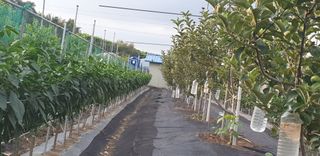 자인면 박덕상님의 자유주제 · 자유게시판 작성글 사진