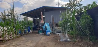 자인면 박덕상님의 자유주제 · 자유게시판 작성글 사진