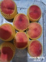 팜모닝 복숭아·자유게시판 게시글 이미지