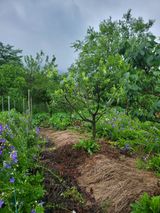 팜모닝 자유주제·자유게시판 게시글 이미지