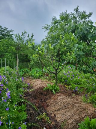 논산상월안정환님의 자유주제 · 자유게시판 작성글 사진