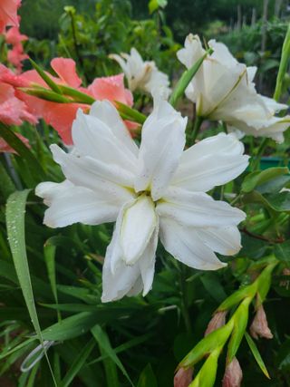 논산상월안정환님의 자유주제 · 자유게시판 작성글 사진