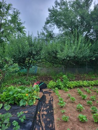 논산상월안정환님의 자유주제 · 자유게시판 작성글 사진