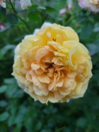 논산상월안정환님의 자유주제 · 자유게시판 작성글 사진