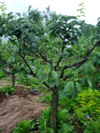 논산상월안정환님의 자유주제 · 자유게시판 작성글 사진