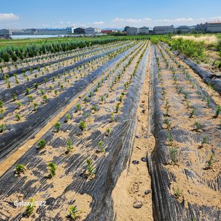 우리꽃님의 자유주제 · 자유게시판 작성글 사진