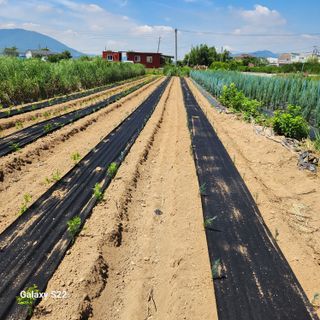 우리꽃님의 자유주제 · 자유게시판 작성글 사진