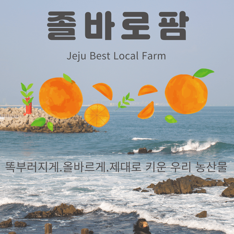 졸바로팜님의 장터 판매 상품 [제주미니밤호박5kg] 첨부 사진