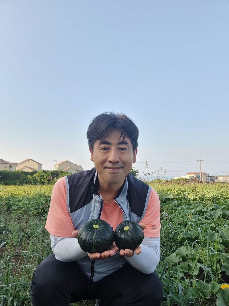 졸바로팜님의 장터 판매 상품 [제주미니밤호박5kg] 첨부 사진