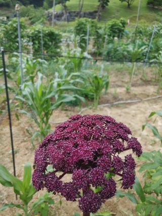 최상락님의 자유주제 · 자유게시판 작성글 사진