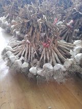 팜모닝 자유주제·사진전 게시글 이미지