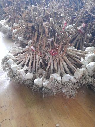 김병익님의 자유주제 · 사진전 작성글 사진