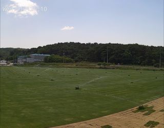 미성잔디조경님의 기타작물 · 영농일지 작성글 사진