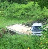 팜모닝 · 게시글 이미지