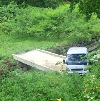 신선옥님의 작성글 사진