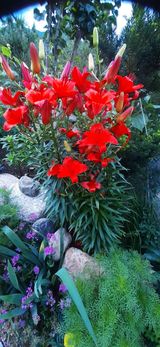 팜모닝 자유주제·자유게시판 게시글 이미지