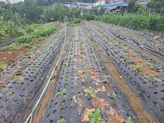 나누고싶어서님의 자유주제 · 자유게시판 작성글 사진