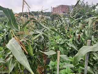 나누고싶어서님의 자유주제 · 자유게시판 작성글 사진