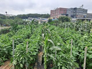 나누고싶어서님의 자유주제 · 자유게시판 작성글 사진