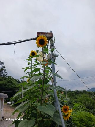 덕촌님의 자유주제 · 자유게시판 작성글 사진