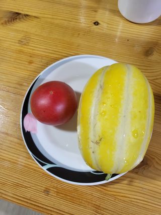 초보농군님의 자유주제 · 자유게시판 작성글 사진