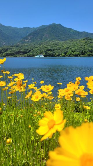 선영~~님의 자유주제 · 자유게시판 작성글 사진