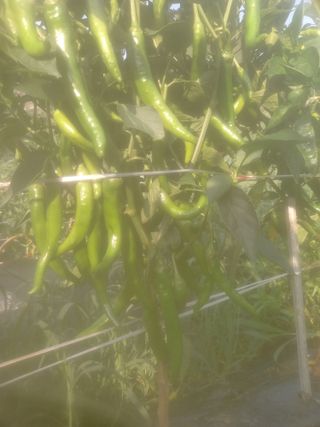 알 수 없음님의 자유주제 · 자유게시판 작성글 사진