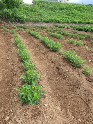 소금님의 자유주제 · 자유게시판 작성글 사진