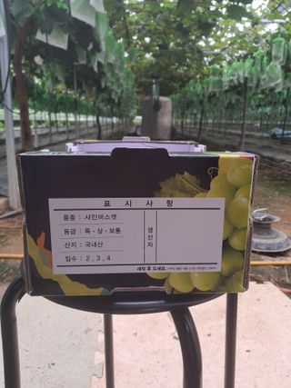 정이오가네농원님의 자유주제 · 자유게시판 작성글 사진