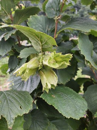 유상희님의 기타작물 · 영농일지 작성글 사진