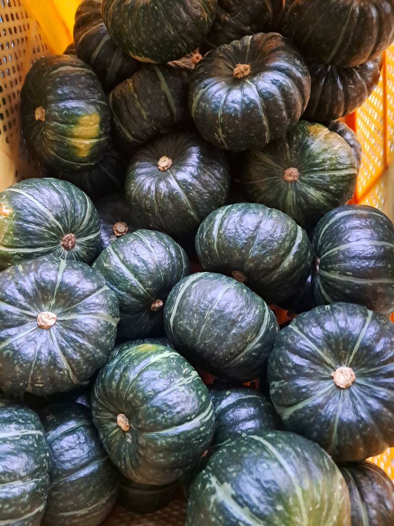 장터 상품 [미니맘단호박] 썸네일