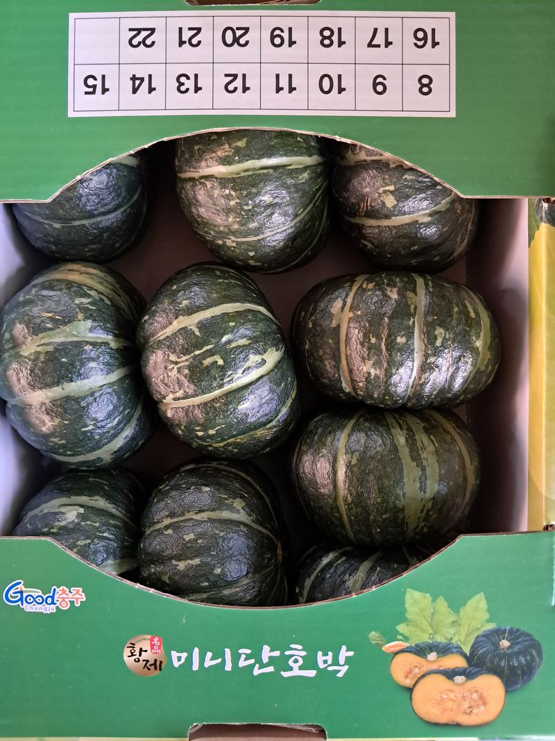 류남열님의 장터 판매 상품 [미니맘단호박] 첨부 사진