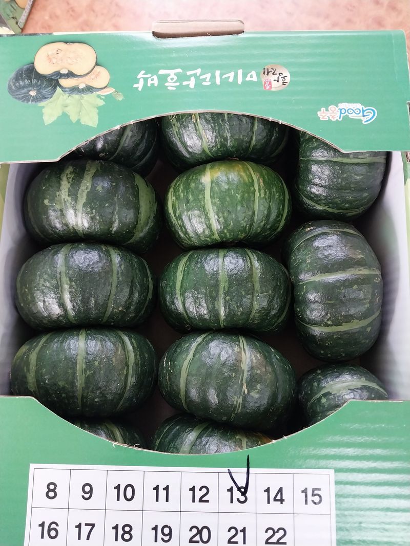 류남열님의 장터 판매 상품 [미니맘단호박] 첨부 사진