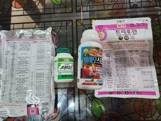 키다리님의 사과 · 영농일지 작성글 사진