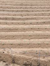 팜모닝 자유주제·자유게시판 게시글 이미지