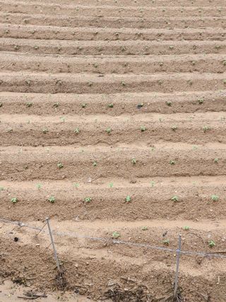 정금천님의 자유주제 · 자유게시판 작성글 사진