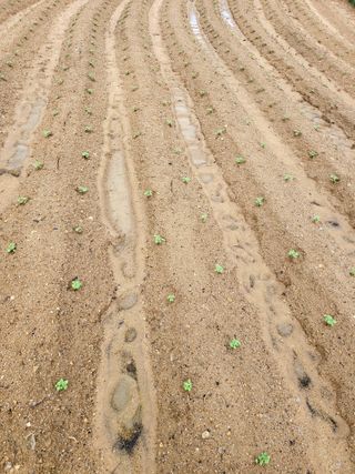 정금천님의 자유주제 · 자유게시판 작성글 사진