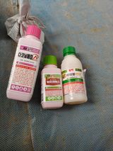 팜모닝 자유주제·자유게시판 게시글 이미지