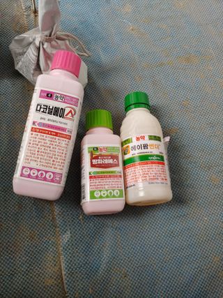 추성호님의 자유주제 · 자유게시판 작성글 사진