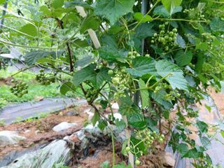 소학도토리님의 자유주제 · 자유게시판 작성글 사진