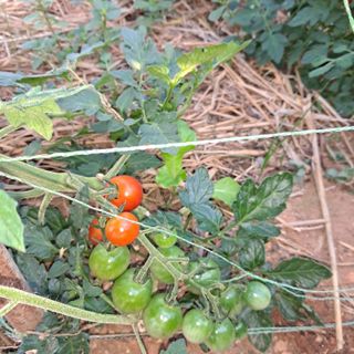 bpjh9173님의 🍉여름을 나는 방법 · 참여글 작성글 사진