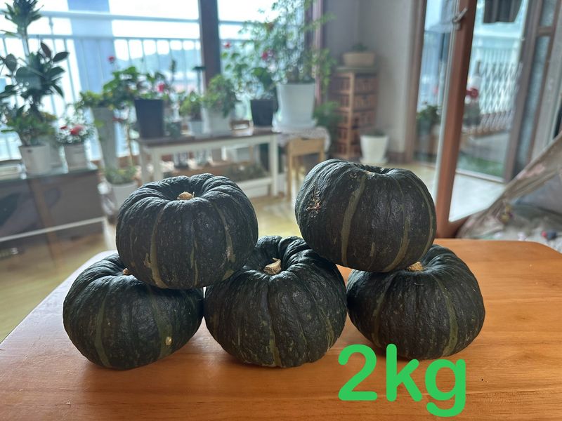 장터 상품 [미니단호박 보우짱 2kg] 썸네일
