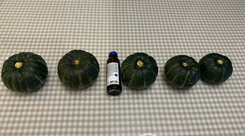 오대환님의 장터 판매 상품 [미니단호박 보우짱 2kg] 첨부 사진