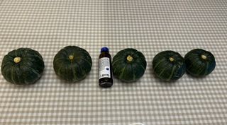 오대환님의 작성글 사진