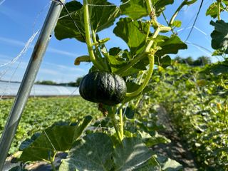 오대환님의 작성글 사진