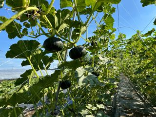 오대환님의 작성글 사진