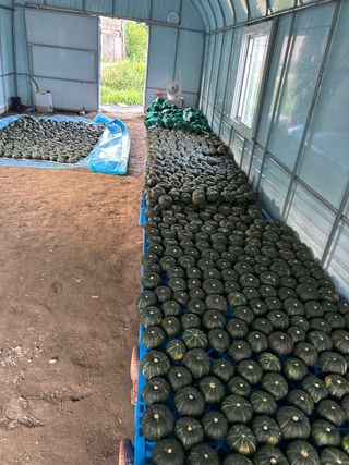 오대환님의 작성글 사진